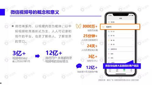 比格披萨爆料视频下载安装,从爆料视频到安装体验全解析 第3张 比格披萨爆料视频下载安装,从爆料视频到安装体验全解析 第3张