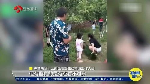 南京游客爆料视频大全集,揭秘古都魅力与生活点滴