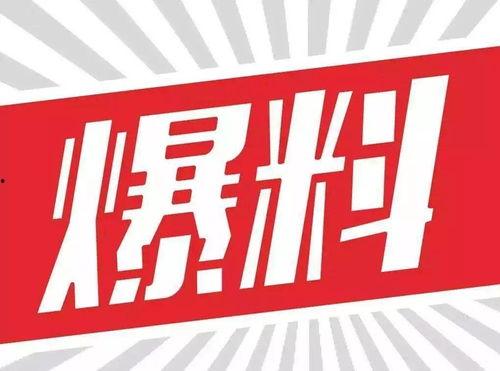 中山板芙新闻爆料电话,揭秘板芙最新动态 第1张 中山板芙新闻爆料电话,揭秘板芙最新动态 第1张