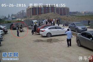 江苏盐城爆料视频,揭秘当地民生热点事件 第1张 江苏盐城爆料视频,揭秘当地民生热点事件 第1张