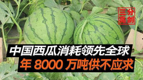 中国免费吃瓜 第1张 中国免费吃瓜 第1张