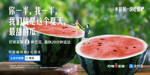 娱乐吃瓜点评文案短句,短句点评背后的精彩故事