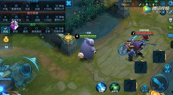 在哪看王者英雄爆料视频  第3张